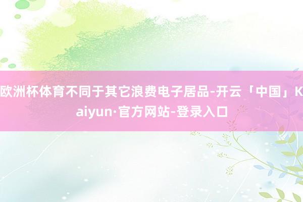 欧洲杯体育不同于其它浪费电子居品-开云「中国」Kaiyun·官方网站-登录入口