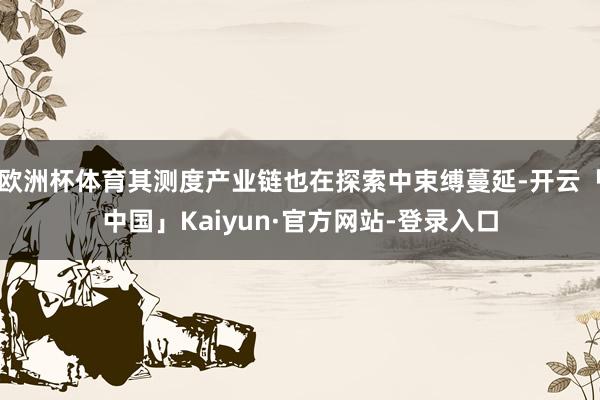 欧洲杯体育其测度产业链也在探索中束缚蔓延-开云「中国」Kaiyun·官方网站-登录入口