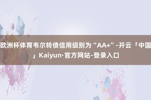 欧洲杯体育韦尔转债信用级别为“AA+”-开云「中国」Kaiyun·官方网站-登录入口