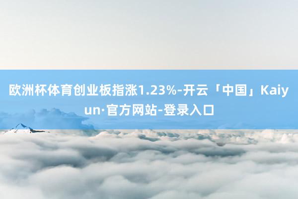 欧洲杯体育创业板指涨1.23%-开云「中国」Kaiyun·官方网站-登录入口