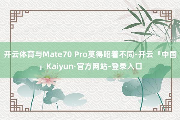 开云体育与Mate70 Pro莫得昭着不同-开云「中国」Kaiyun·官方网站-登录入口