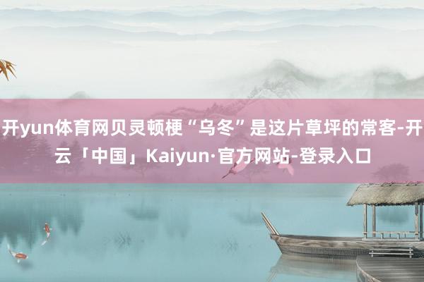 开yun体育网贝灵顿梗“乌冬”是这片草坪的常客-开云「中国」Kaiyun·官方网站-登录入口