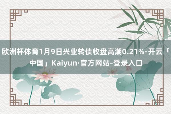 欧洲杯体育1月9日兴业转债收盘高潮0.21%-开云「中国」Kaiyun·官方网站-登录入口