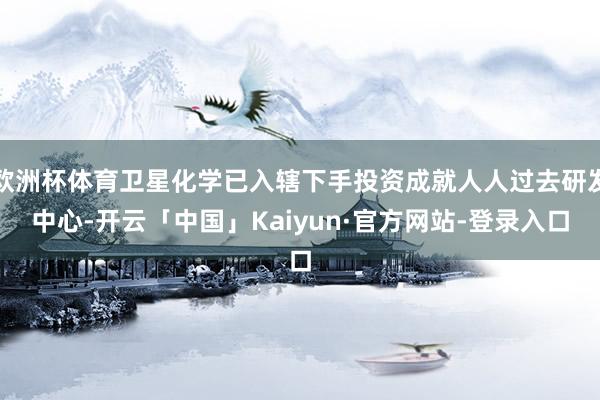 欧洲杯体育卫星化学已入辖下手投资成就人人过去研发中心-开云「中国」Kaiyun·官方网站-登录入口