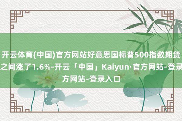 开云体育(中国)官方网站好意思国标普500指数期货整宿之间涨了1.6%-开云「中国」Kaiyun·官方网站-登录入口