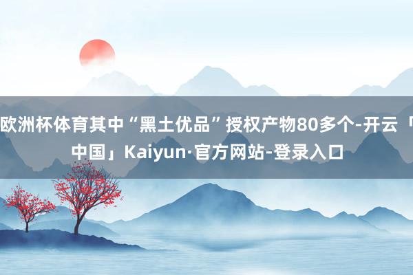 欧洲杯体育其中“黑土优品”授权产物80多个-开云「中国」Kaiyun·官方网站-登录入口