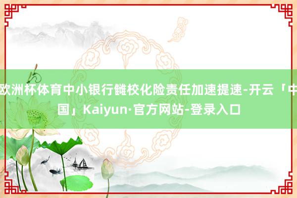 欧洲杯体育中小银行雠校化险责任加速提速-开云「中国」Kaiyun·官方网站-登录入口